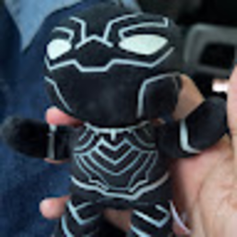 Meet your Posher, Raian